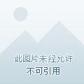 红颜乱狂妃倾天下