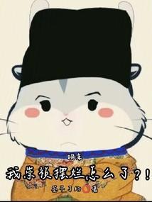 明末我崇祯摆烂怎么了?!第三中文网