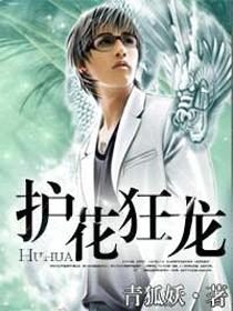 护花狂龙全文免费阅读易军!! 新闻 护花狂龙全文免费阅读易军!! 新闻