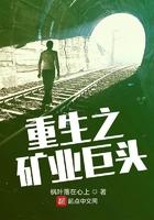 重生之矿业巨头123 重生之矿业巨头123