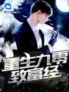 重生九零致富经 重生九零致富经